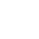 綱領(lǐng)性